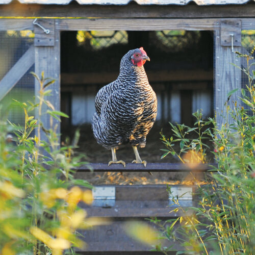 Climate Farming Practices